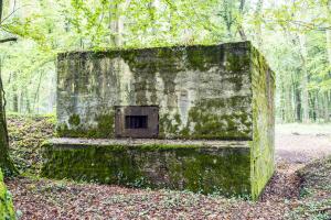 Ligne Maginot - BB351 - HUBERBUSCH 2 - (Blockhaus pour arme infanterie) - Face frontal