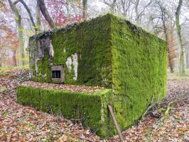 Ligne Maginot - BB351 - HUBERBUSCH 2 - (Blockhaus pour arme infanterie) - 