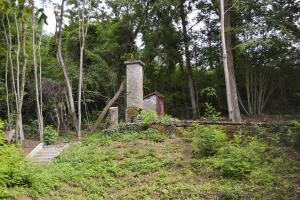 Ligne Maginot - GALGENBERG - (Casernement) - Ruines après débroussaillage par le club de chasse en 2017