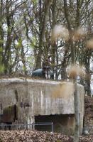 Tourisme Maginot - HUBERBUSCH SUD - C59 - (Casemate d