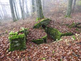 Ligne Maginot - MEISTERBUSCH 6 - (Cuve pour arme d'infanterie) - La cuve pour arme d'infanterie.