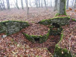 Ligne Maginot - MEISTERBUSCH 6 - (Cuve pour arme d'infanterie) - La cuve pour arme d'infanterie.