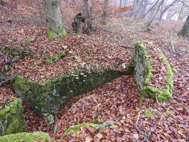 Ligne Maginot - MEISTERBUSCH 6 - (Cuve pour arme d'infanterie) - La table de tir avec son parapet.
