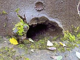 Ligne Maginot - MICHELSBERG - A22 - (Ouvrage d'artillerie) - Bloc 3
Détail d'un Impact de FLAK 88 sur une cloche GFM