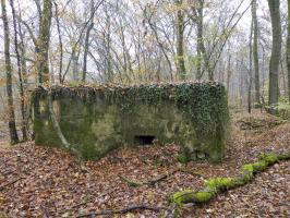 Ligne Maginot - CB443 - BOIS KARRE 7 - (Blockhaus pour arme infanterie) - 