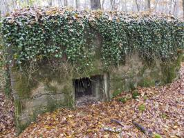 Ligne Maginot - CB443 - BOIS KARRE 7 - (Blockhaus pour arme infanterie) - Créneau FM vu de l'extérieur.