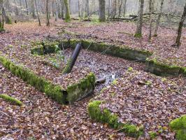 Ligne Maginot - CB443-B - BOIS KARRE 5 - (Blockhaus pour canon) - 