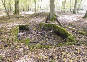 Ligne Maginot - CB443-B - BOIS KARRE 5 - (Blockhaus pour canon) - 
