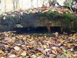 Ligne Maginot - CB445 - BOIS KARRE 3 - (Blockhaus pour canon) - Vue de l'annexe