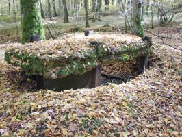 Ligne Maginot - CB445 - BOIS KARRE 3 - (Blockhaus pour canon) - Aux alentours
La construction est reliée au blockhaus via une tranchée.