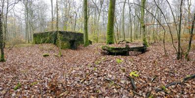 Ligne Maginot - CB445 - BOIS KARRE 3 - (Blockhaus pour canon) - Vue d'ensemble de l'arrière du blockhaus.