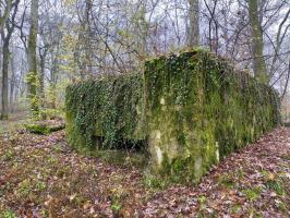 Ligne Maginot - CB445 - BOIS KARRE 3 - (Blockhaus pour canon) - Le blockhaus avec son annexe à gauche.