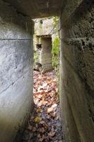 Ligne Maginot - CB445 - BOIS KARRE 3 - (Blockhaus pour canon) - L'entrée des hommes depuis le poste bétonné.
