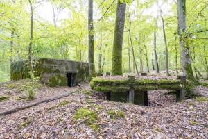 Ligne Maginot - CB445 - BOIS KARRE 3 - (Blockhaus pour canon) - 