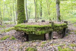 Ligne Maginot - CB445 - BOIS KARRE 3 - (Blockhaus pour canon) - 