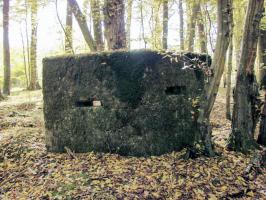 Ligne Maginot - CB447-A - BOIS KARRE 1 - (Blockhaus pour arme infanterie) - Vue de la façade
