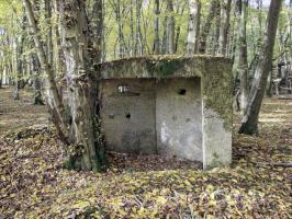 Ligne Maginot - CB447-A - BOIS KARRE 1 - (Blockhaus pour arme infanterie) - Vue de l'arrière