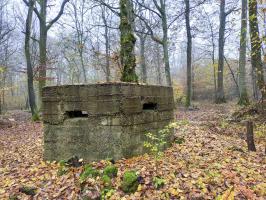 Ligne Maginot - CB447-A - BOIS KARRE 1 - (Blockhaus pour arme infanterie) - 