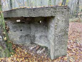 Ligne Maginot - CB447-A - BOIS KARRE 1 - (Blockhaus pour arme infanterie) - 