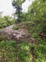Ligne Maginot - B1593 - RICHARDSHAEUSER 2 - (Blockhaus pour arme infanterie) - Vu du dessus, le reste du blockhaus est enfoui sous terre.