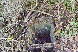 Ligne Maginot - B1593 - RICHARDSHAEUSER 2 - (Blockhaus pour arme infanterie) - Entrée en puits