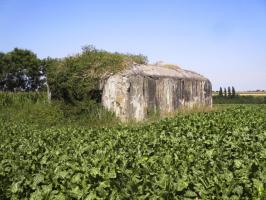 Ligne Maginot - B680 - FAUQUEMONT NORD - (Blockhaus pour canon) - 