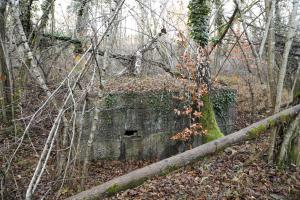Ligne Maginot - GANZAU NORD - (Abri) - 