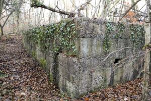 Ligne Maginot - GANZAU NORD - (Abri) - 