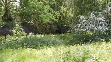 Ligne Maginot - LES SARTS - (Ouvrage d'infanterie) - Fossé de l'ancien fort Séré de Riviéres conservé pour la protection de l'ouvrage Maginot