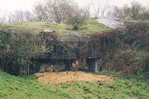 Ligne Maginot - LES SARTS - (Ouvrage d'infanterie) - Bloc 2