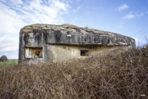 Ligne Maginot - B704 - CHAMPS-ELYSÉES - (Blockhaus pour canon) - 