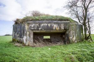 Ligne Maginot - B703 - LA PREE - (Blockhaus pour arme infanterie) - 