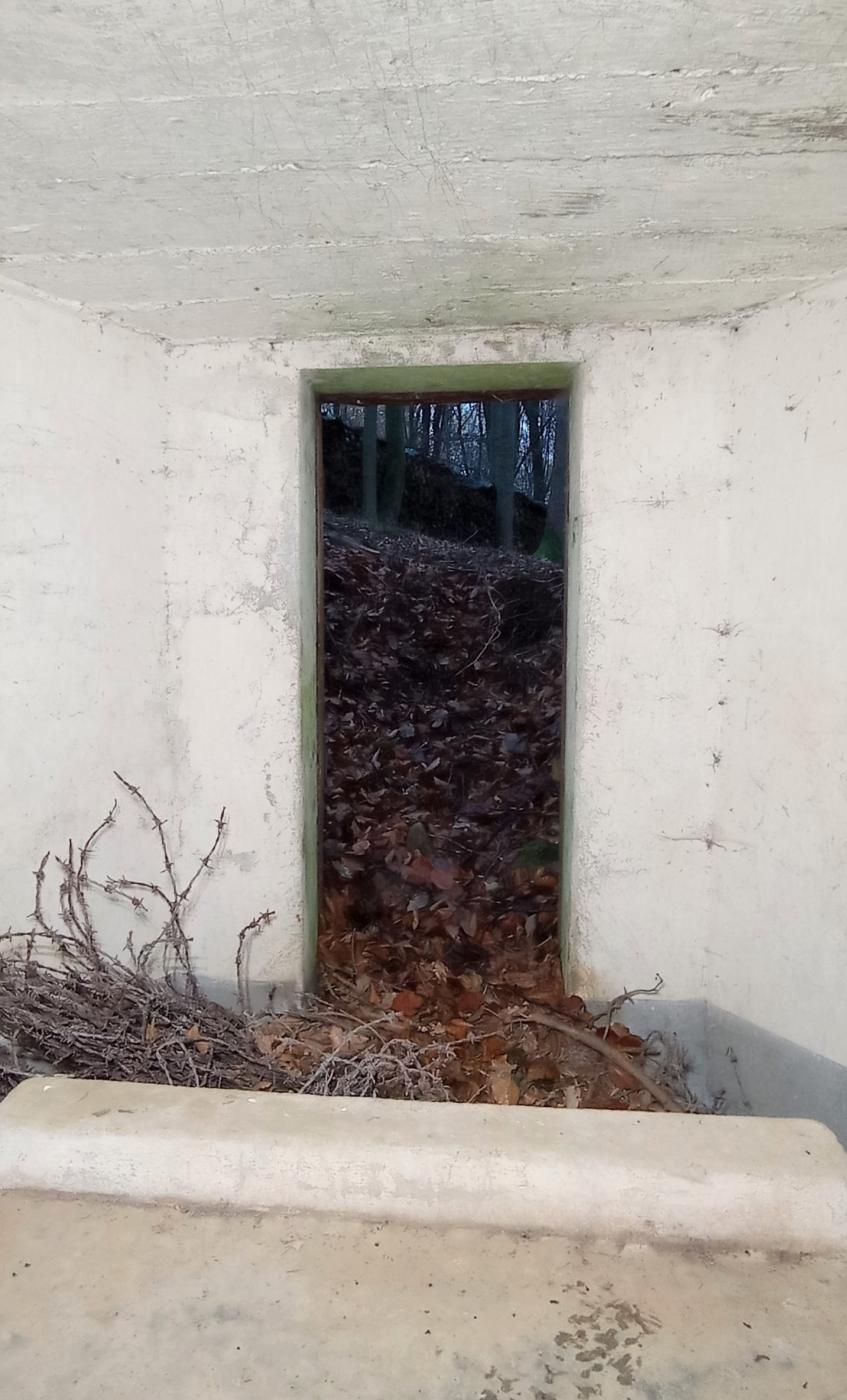 Ligne Maginot - M3 - HELIENBRUCK 3 - (Blockhaus pour arme infanterie) - Entrée 