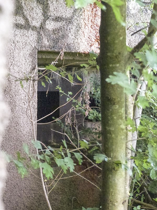 Ligne Maginot - A117 - PASSE D'ANOR - (Casemate d'infanterie - double) - Flanquement Ouest
Embrasure Mi/canon AC