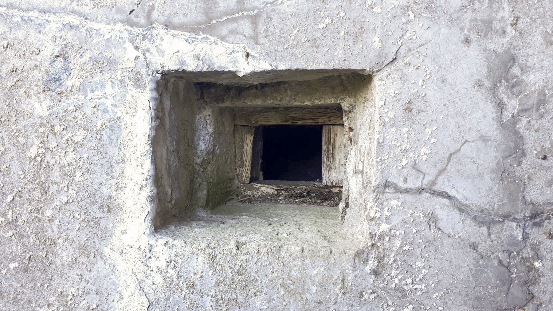 Ligne Maginot - AB28 - (Blockhaus pour canon) - Créneau de défense rapprochée de l'entrée - Gregory Fuchs