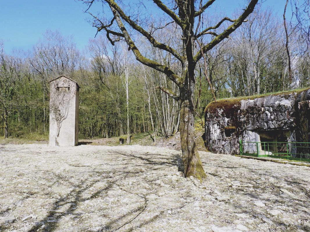 Ligne Maginot - TETING - A38 - (Ouvrage d'infanterie) - Transfo de l'ouvrage - Sylvie Laure LAMBERT
