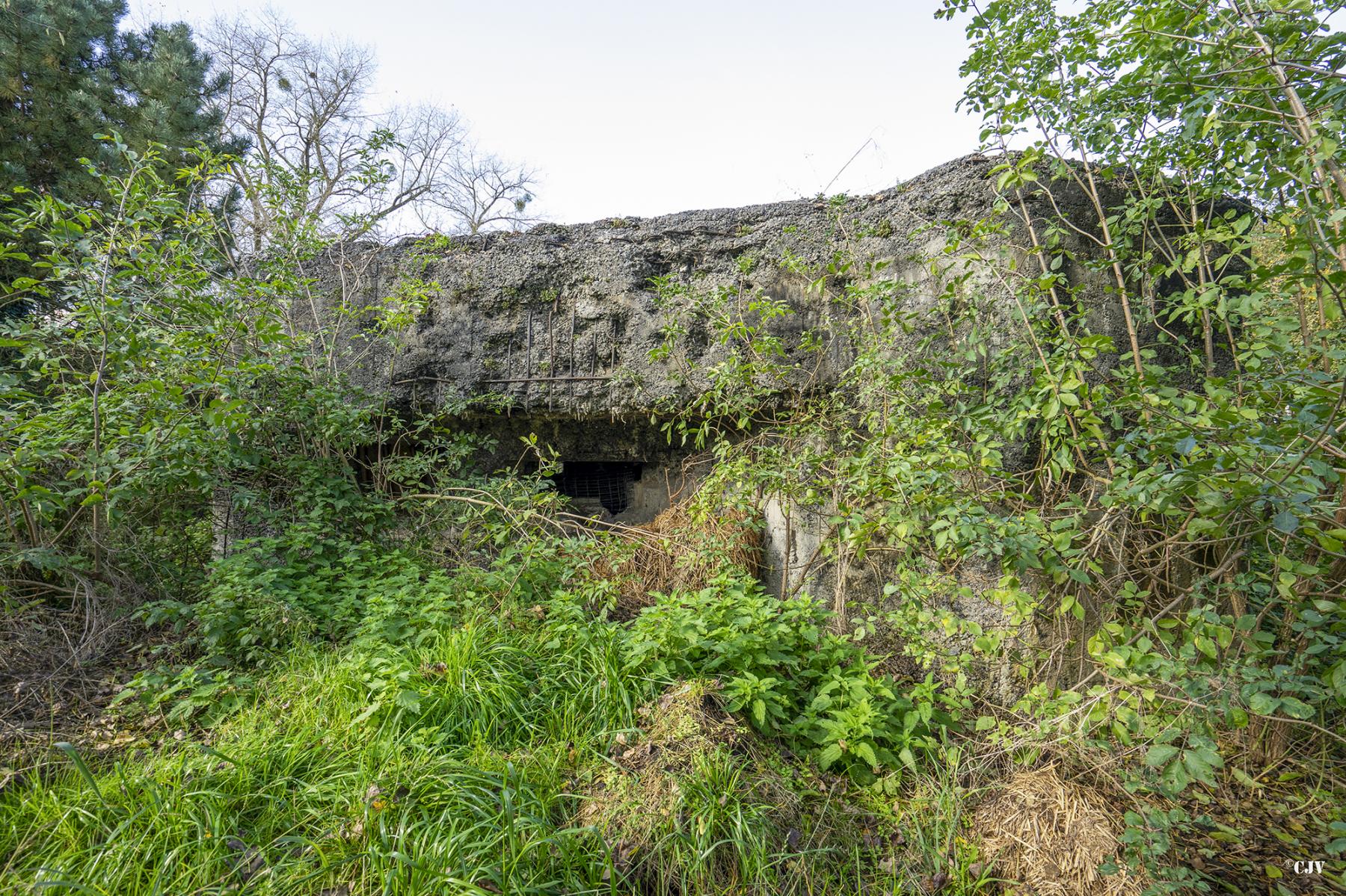 Ligne Maginot - A68 - OEILLET - (Blockhaus lourd type STG / STG-FCR - Double) - Les créneaux sud-est