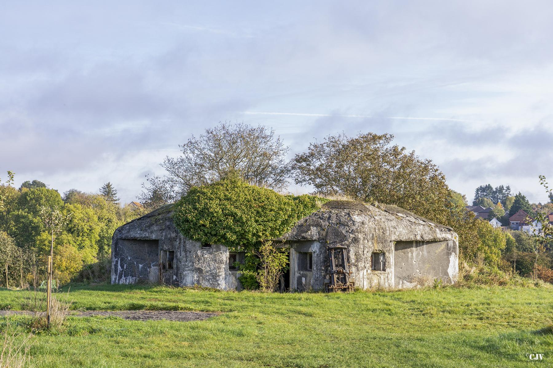 Ligne Maginot - B512 - WARGNIES LE GRAND OUEST - (Blockhaus pour canon) - Le blockhaus dans son environnement