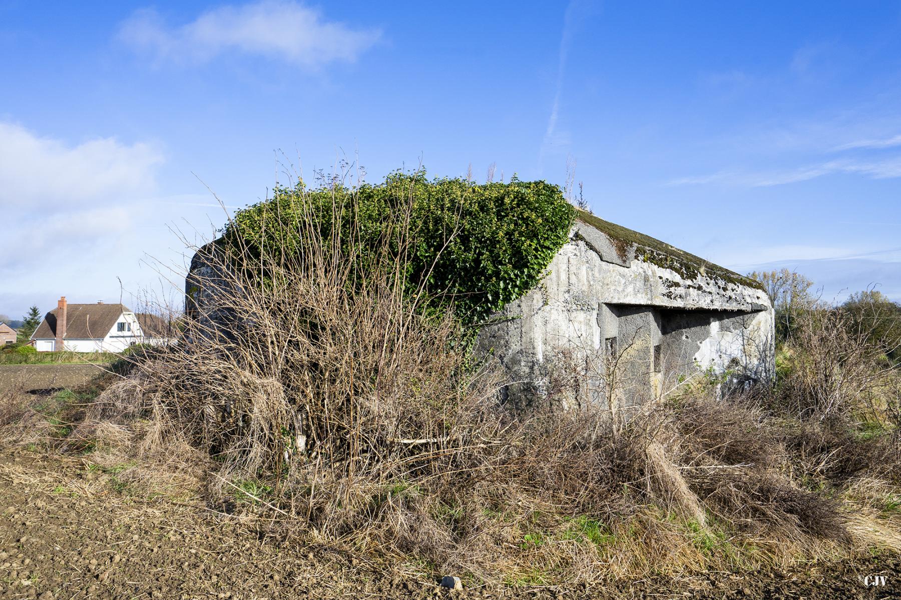 Ligne Maginot - B516 - STATION DE WARGNIES - (Blockhaus pour canon) - Vue générale