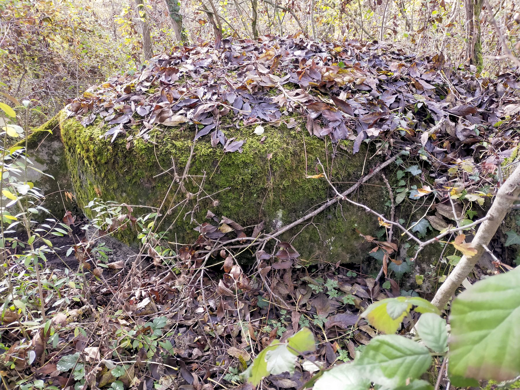 Ligne Maginot - ECLUSE D'HIRTZFELDEN NORD - (Blockhaus pour arme infanterie) - La coupole noyée dans la végétation.