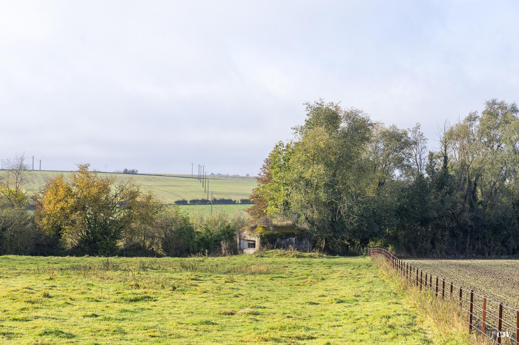 Ligne Maginot - B520 - CHAPELLE SAINT ROCH - (Blockhaus pour canon) - 