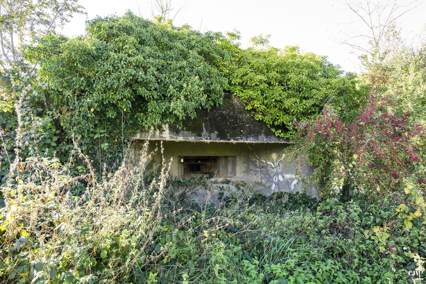 Ligne Maginot - B529 - BOIS DE LA FERRIERE SUD - (Blockhaus pour canon) -  - Lia VERMEULEN