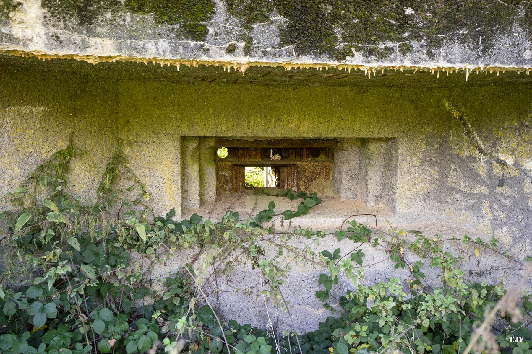 Ligne Maginot - B529 - BOIS DE LA FERRIERE SUD - (Blockhaus pour canon) -  - Lia VERMEULEN