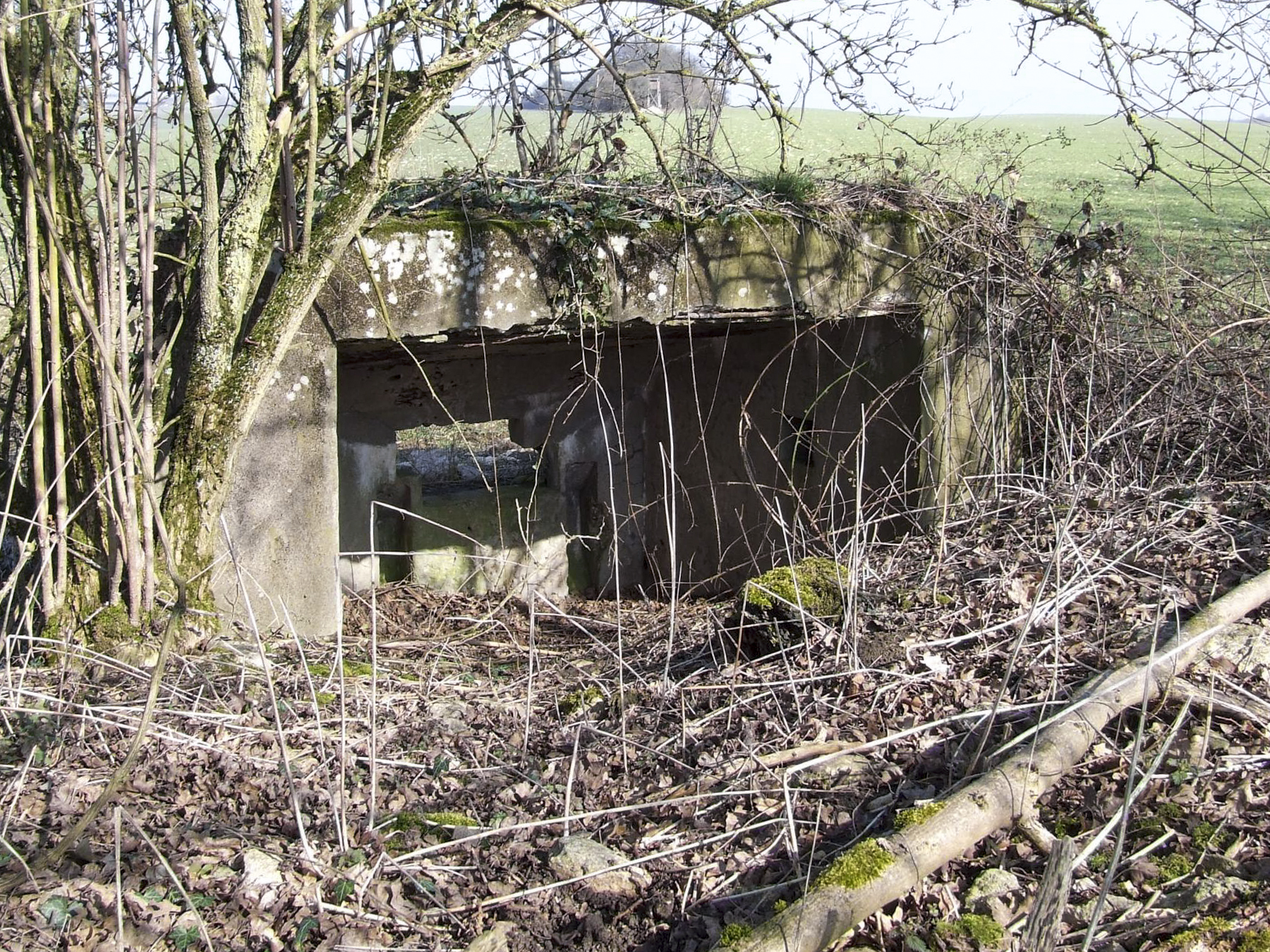 Ligne Maginot - BOIS DE PONTPIERRE - (Blockhaus pour canon) - Le bouclier pour canon anti-char.