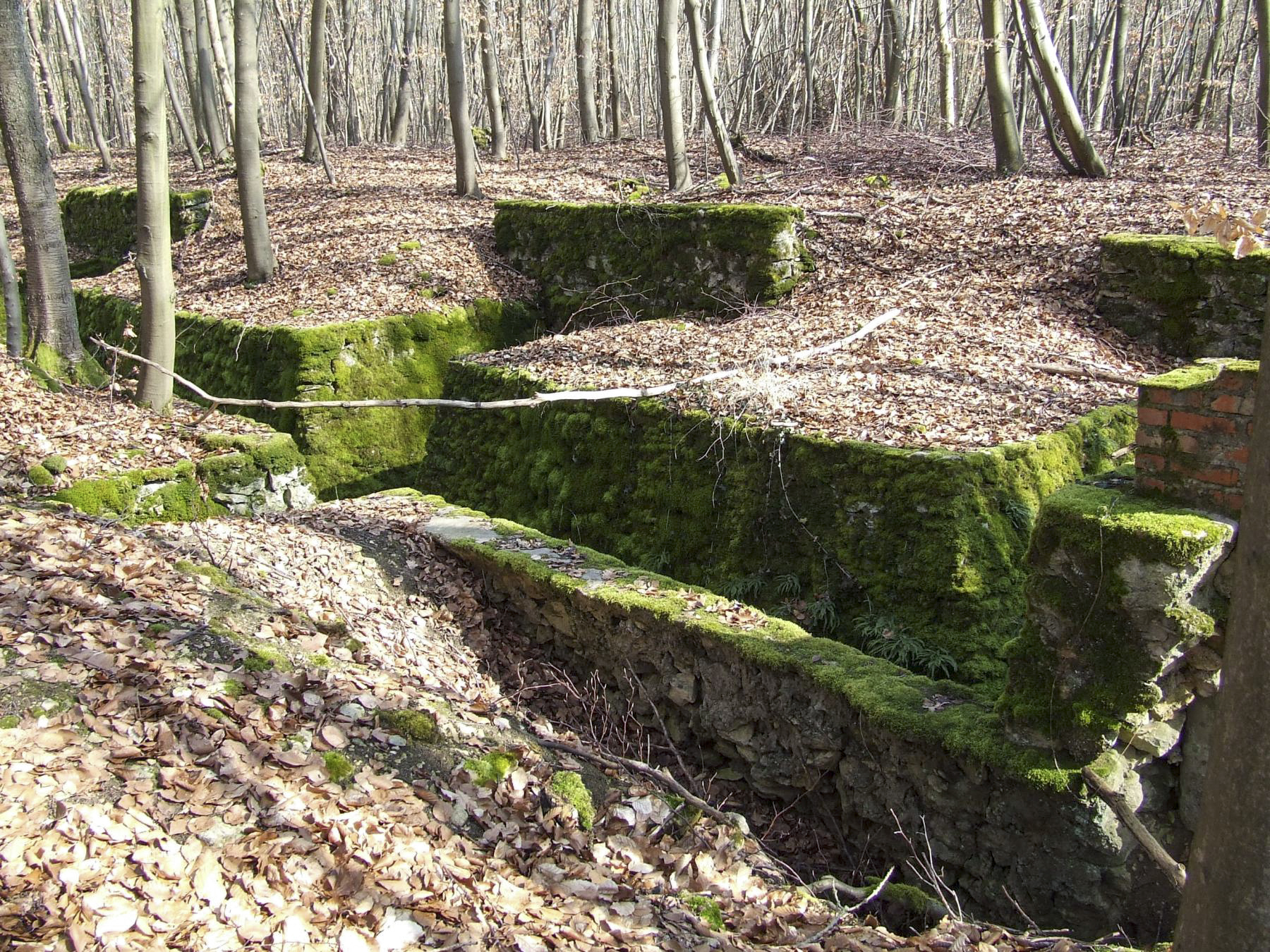 Ligne Maginot - BOIS DE PONTPIERRE (II/146° RIF) - (PC de Quartier) - 
