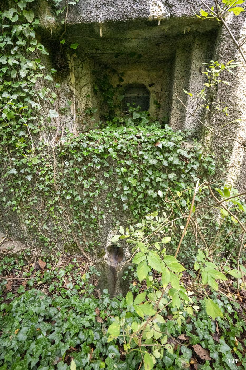 Ligne Maginot - B540 - RUAINCE - (Blockhaus pour canon) - Créneau ouest
