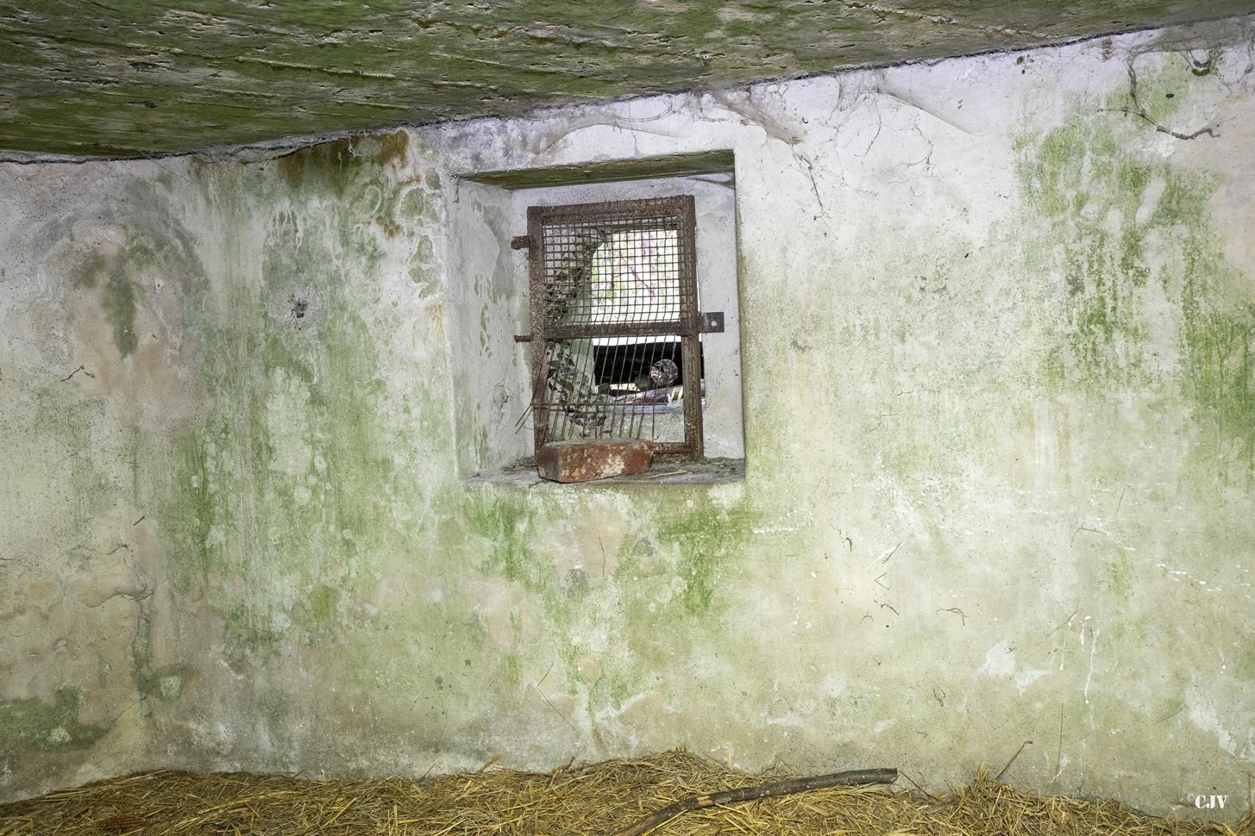Ligne Maginot - B543 - SAINT WAAST - (Blockhaus pour arme infanterie) - Petit créneaux direction chemin de fer