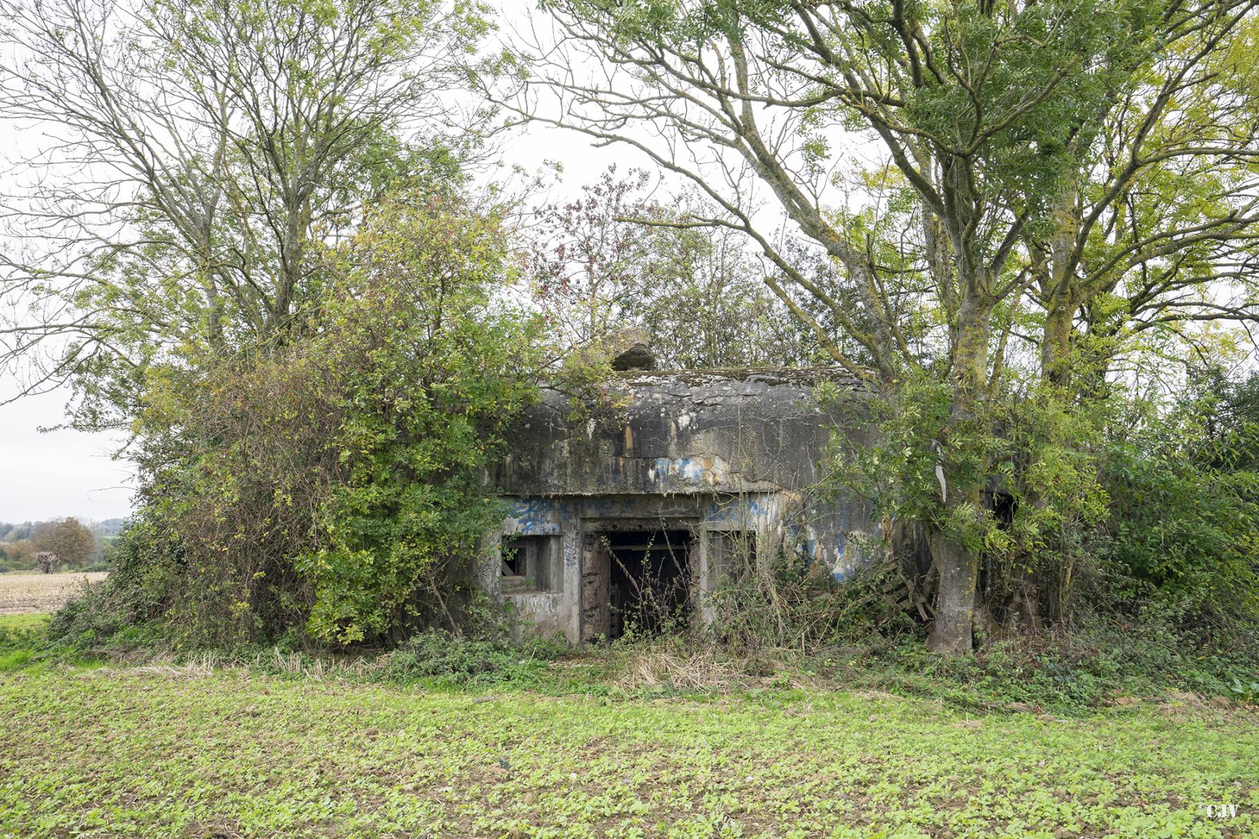 Ligne Maginot - B553 - FERME CAMBRON - (Blockhaus pour canon) - Vue générale