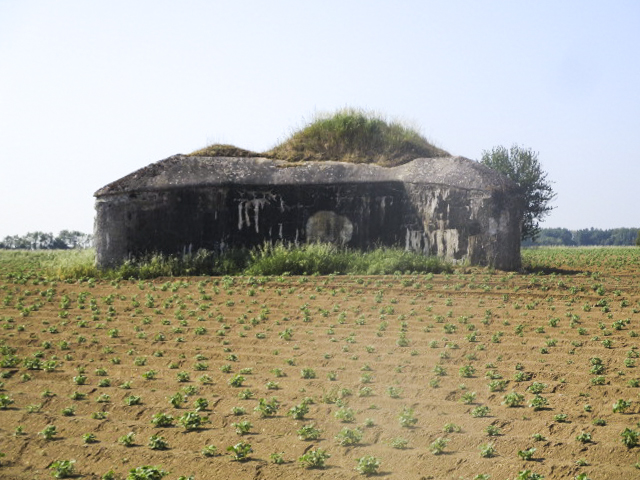 Ligne Maginot - B563 - PETIT CHENE - (Blockhaus pour canon) - 