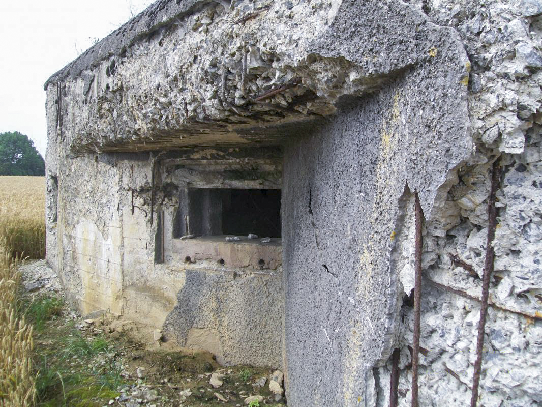Ligne Maginot - B563 - PETIT CHENE - (Blockhaus pour canon) - 
